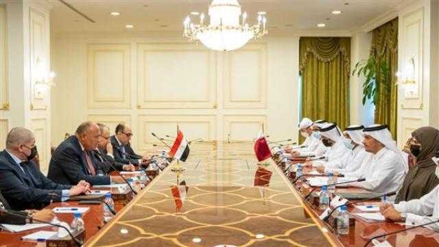 بدء جلسة مباحثات رسمية بين وزير الخارجية ونظيره القطري