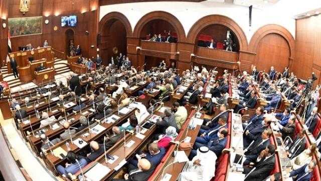 وكيل «خارجية الشيوخ» يؤكد قدرة مصر والسعودية على صياغة استراتيجية موحدة للإعلام