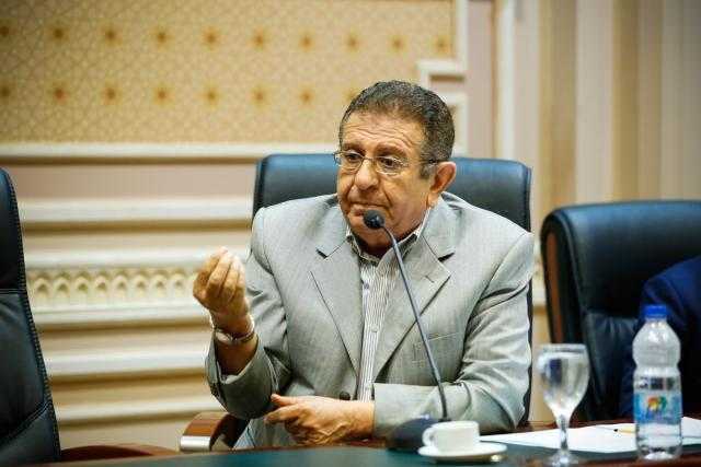 برلماني: جهود الرئيس السيسي الخارجية نجحت في استعادة ريادة مصر عربيًا وعالميًا