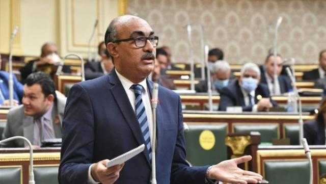 برلماني يطالب بتركيب سلالم كهربائية بمحور الفريق كمال عامر