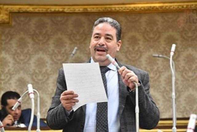 في العيد الثامن لـ30 يونيو.. الألفي: كشفت الأوراق الملتبسة وخطوة رئيسية نحو التقدم يقودها الرئيس السيسي