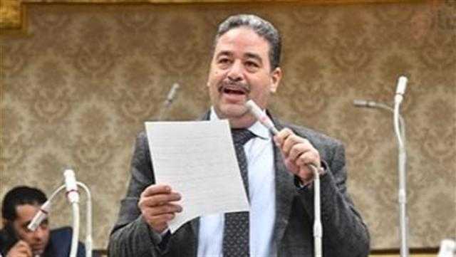 برلماني: 30 يونيو ثورة أعادت الوطن لأهله