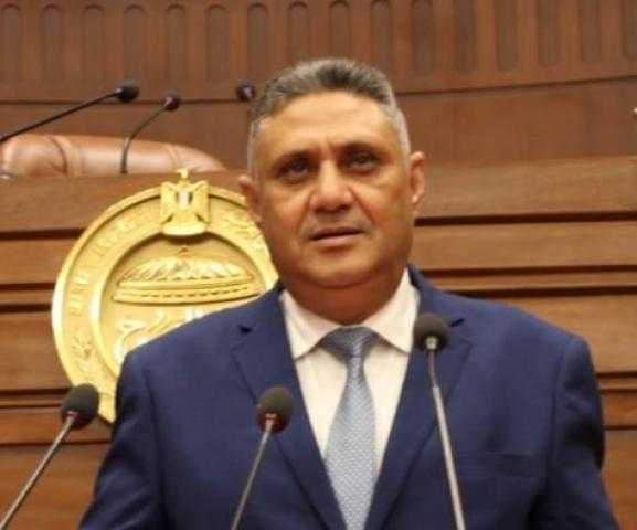 برلماني: ثورة 30 يونيو أعادت الوطن للطريق الصحيح