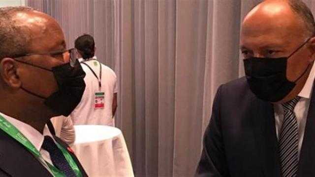 شكري يبحث مع نظيره النجيري القضايا الإقليمية على هامش اجتماعات روما
