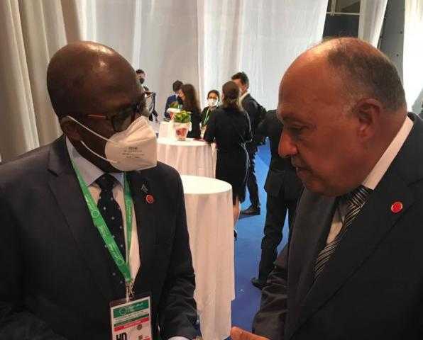 شكري‬⁩ يبحث مستجدات قضية سد النهضة مع وزير خارجية الكونغو الديمقراطية