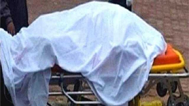 هشم رأسه بحجر.. تفاصيل قتل شاب مهتز نفسيا لشقيقه بمنشأة القناطر