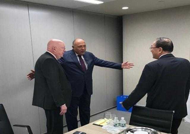 سد النهضة.. شكري يؤكد لمندوبي الصين وروسيا ضرورة التوصل لاتفاق قانوني ملزم