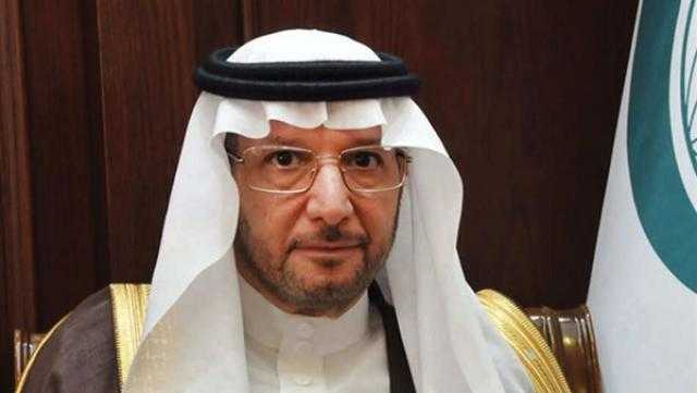 أمين منظمة التعاون الإسلامي: المرأة ستحصل على الكثير في عهد الرئيس السيسي