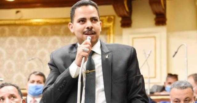 النائب أشرف رشاد: لن أشارك في طمس الهوية الحزبية داخل مجلس النواب