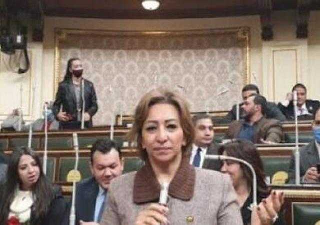 أول تحرك برلماني بشأن تنفيذ محور الجزائر في المعادي