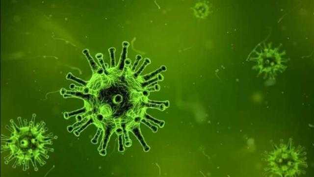 البرازيل تسجل أكثر من 45 ألف إصابة جديدة و1456 وفاة بفيروس كورونا