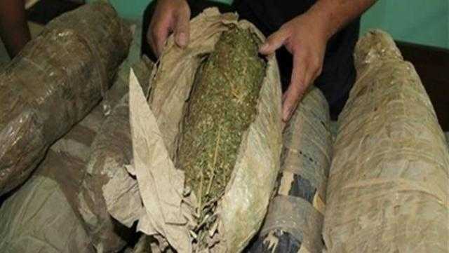 صفقة العيد.. ضبط متهمين بحوزتهما 50 كيلو بانجو في دمياط