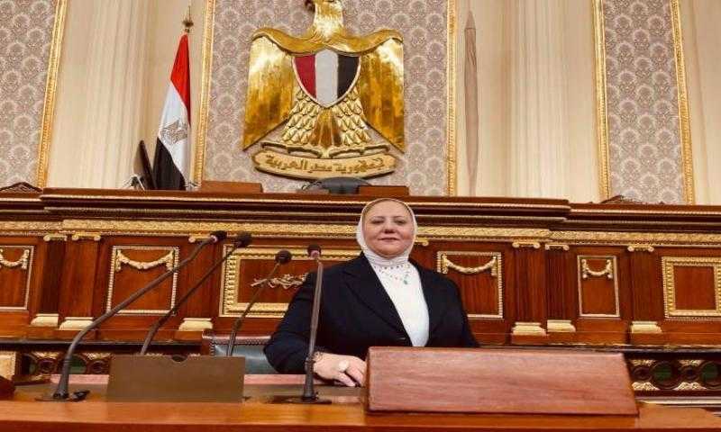 النائبة منال نصر: وعي الشعب أحبط محاولات جماعة الإخوان لهدم الدولة المصرية