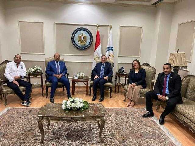 ”طاقة النواب”: وزير البترول وعد بدعم المشاركة المجتمعية للنهوض بقرى الصعيد