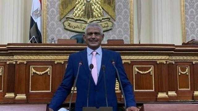 برلماني: اهتمام الدولة بالشباب تزايد بشكل واضح وفعلي