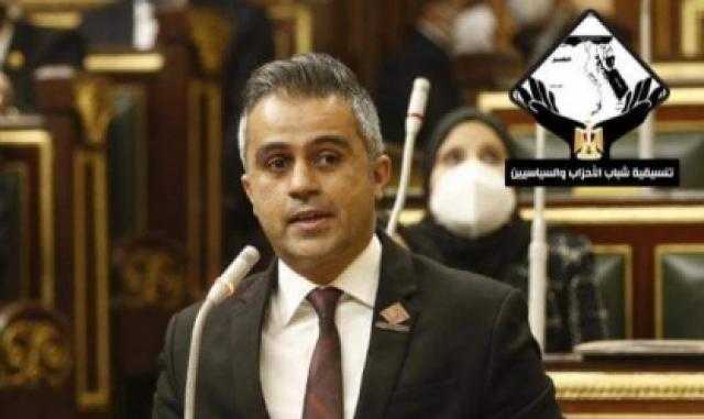 وفد التنسيقية يشارك في لقاء الوكالة المصرية للشراكة من أجل التنمية