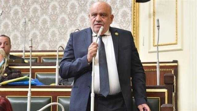 سيد طه: ربط مخرجات التعليم باحتياجات سوق العمل يقلل البطالة في مصر