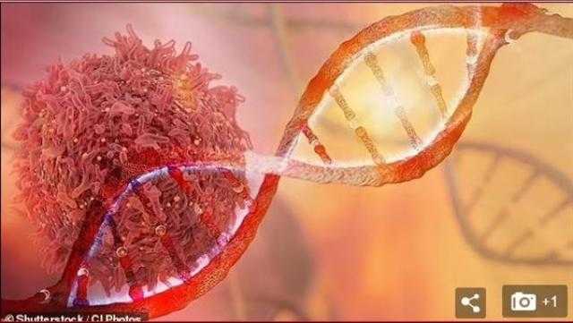 2 مليون مصاب سنويًا.. 4 طرق للحماية من الإصابة من سرطان الرئة