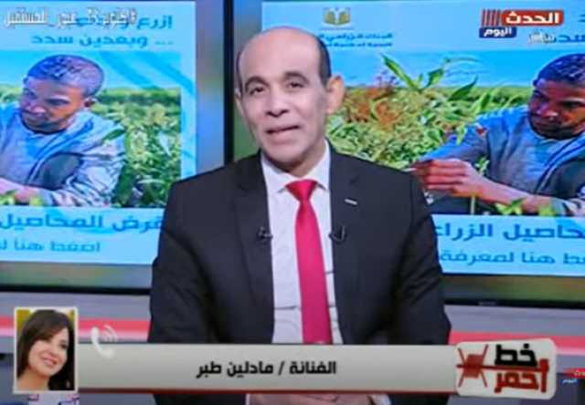 مادلين طبر: ”عشنا في مخيم مع ضفادع بشرية حقيقية أثناء تصوير الطريق إلى إيلات”