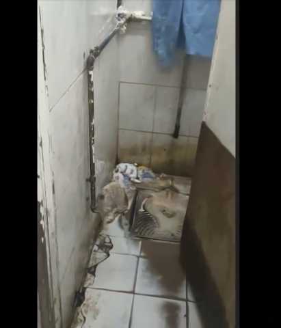 طلاب جامعة الزقازيق يستغيثون بسبب ”دورات المياه”