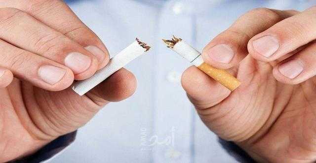 ماذا فعل الإنسان الأول بالتبغ قبل 12300 عام؟.. فيديو