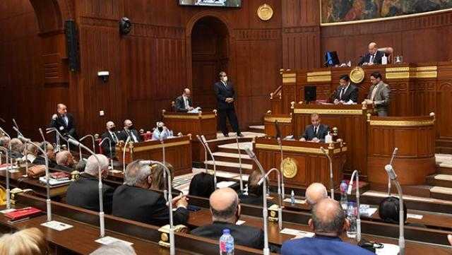 رفع الجلسة العامة للشيوخ عقب الموافقة على مواد إصدار حقوق المسنين