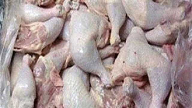 مداهمة مطعم يبيع لحوم حمام ودواجن فاسدة بالمعادي