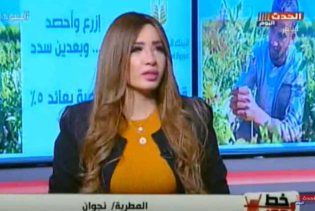 المطربة نجوان: أتحفظ على المهرجانات.. و”هربي كلاب” سجلت 12 مليون مشاهدة في 3 أيام