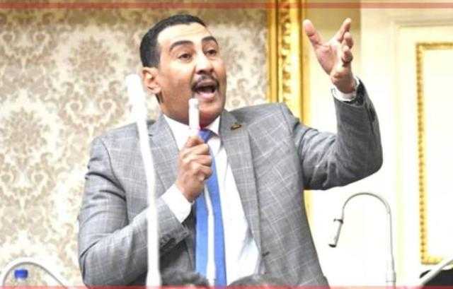 الجبلاوي: مصر أحدثت نقلة حقيقية في مجال حقوق الإنسان