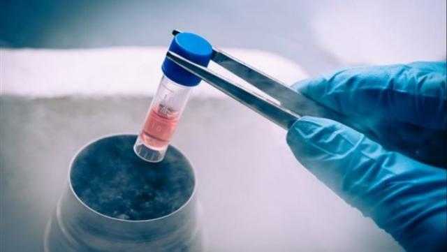 استشاري: تجميد البويضات فرصة للفتيات عند تأخر الزواج