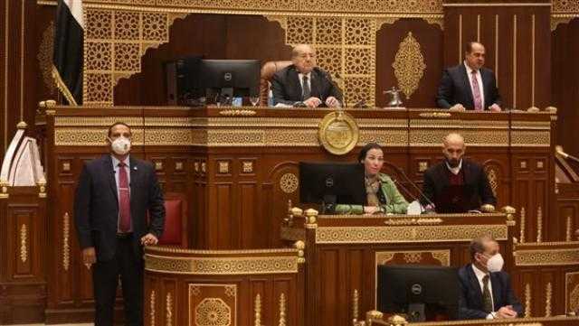 رئيس «الشيوخ» يهنئ المصريين بالعام الميلادي الجديد.. ويرفع الجلسة لـ2 يناير