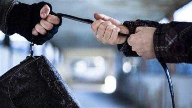 النيابة تطلب التحريات عن لص الحقائب بالنزهة