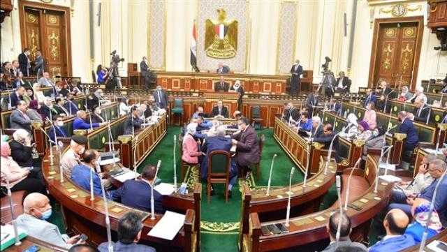 رئيس شباب النواب يكشف موعد مناقشة تعديلات قانون الرياضة فى البرلمان