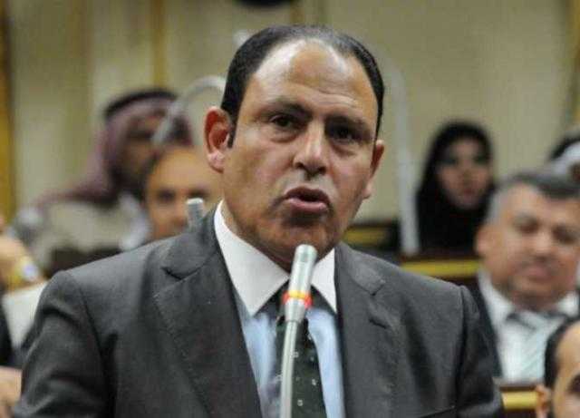 نائب المنيا يطالب بإقالة وكيل وزارة الصحة وتشكيل لجنة تقصي حقائق لمستشفيات المنيا