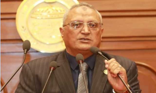 برلماني: مصر نجت من الفوضى بفضل 30 يونيو وانتخاب قيادة وطنية