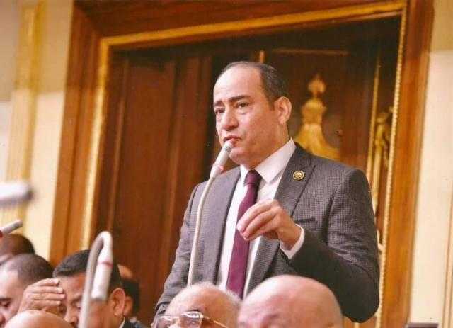 مجاهد نصار: تقدير أوروبي متزايد لدور السيسي والتواجد المحوري لمصر في قضايا المنطقة والإقليم