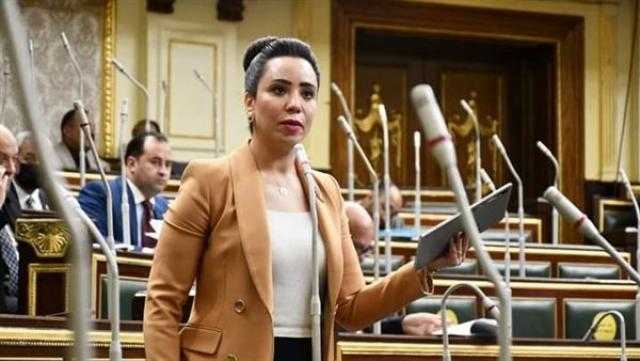 برلمانية عن مشروع قانون الضريبة على الدخل: تخلق تمييزا بين المواطنين