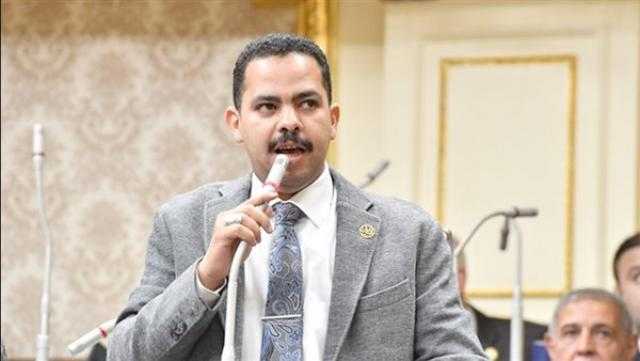 برلماني: كلمة الرئيس السيسي في المنتدى العالمي للتعافي من كورونا خطة عمل دولية