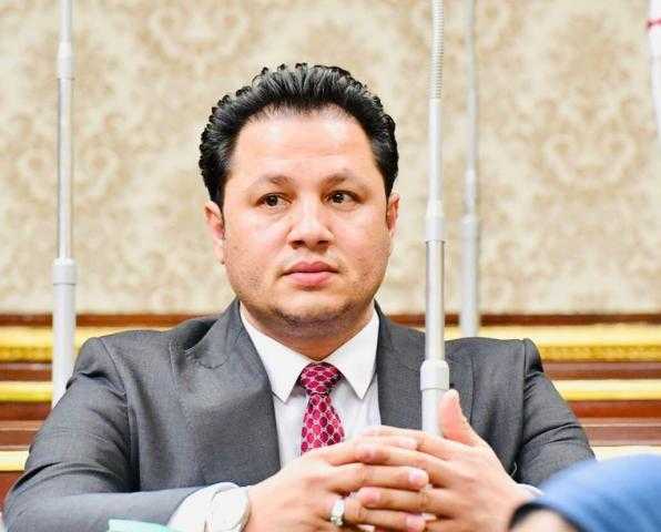 برلماني: مصر والسعودية يمثلان جناحي الأمن القومي العربي