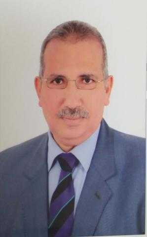 الدكتور عادل عامر يكتب: الاستفادة الاقتصادية من إنشاء محلات للباعة الجائلين