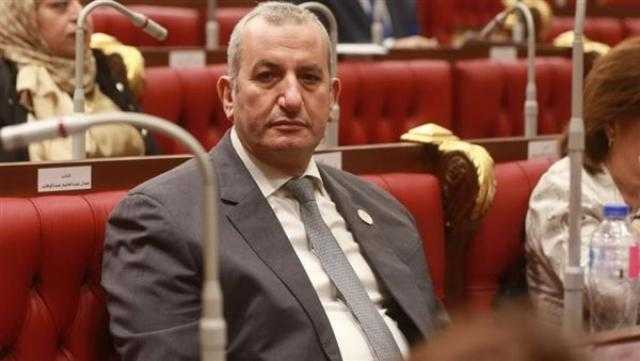 عضو بمجلس الشيوخ: مبادرة الرئيس للحوار الوطني تضع مبادئ التسامح بالجمهورية الجديدة