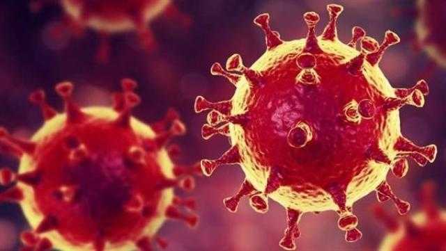 بعد يومين من تسجيل أول إصابة بكورونا.. كوريا الشمالية تعلن وفاة 21 حالة بـ كوفيد 19