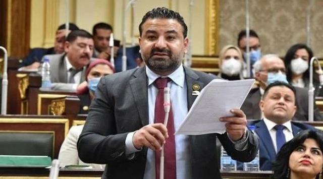 النائب محمد سلطان: ضرورة وضع أكثر من سيناريو للتعامل مع جدري القرود