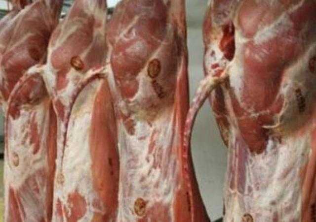 بيطري أسوان يضبط 19 كجم لحوم مصنوعة بالمخالفة