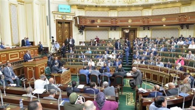 برلماني: الرخصة الذهبية تفتح أبواب الاستثمار للقطاع الخاص