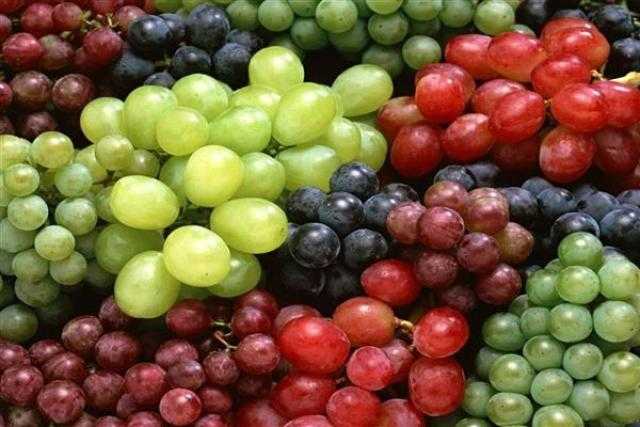 في بداية ظهوره بالأسواق.. العنب فاكهة صحية والإفراط في تناوله ينقلب لكارثة