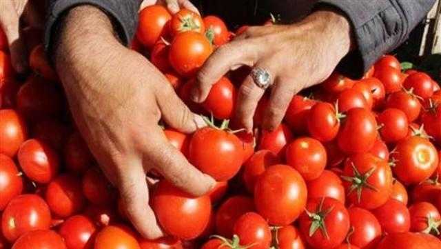 4 أطعمة هامة للحفاظ على بشرتك خلال الصيف