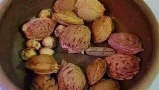 حملة لحفظ بذور الفواكه وزرعها في الأماكن الفارغة