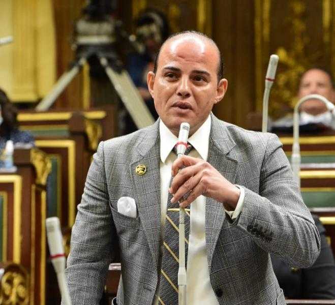 النائب عمرو القطامي: جهود مصرية كبيرة لدفع الأوبئة عن أفريقيا خلال السنوات الـ9 الأخيرة
