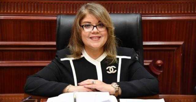 وكيل مجلس الشيوخ: «30 يونيو» بداية الانطلاق لجمهورية جديدة تعلي قيم المواطنة والمساواة